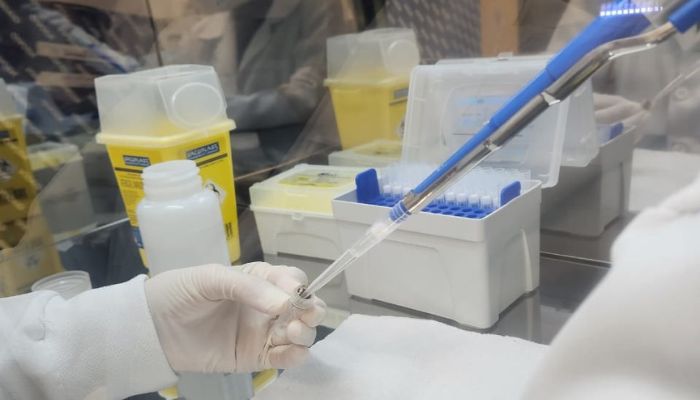  Saúde de precisão: Estado investirá R$ 10,9 milhões para estudar genoma de paranaenses